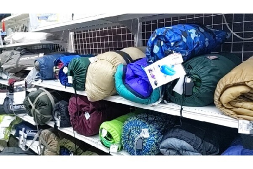 24年11月06日:画像7