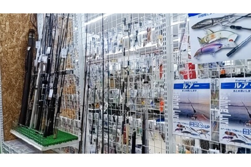 24年11月07日：画像６