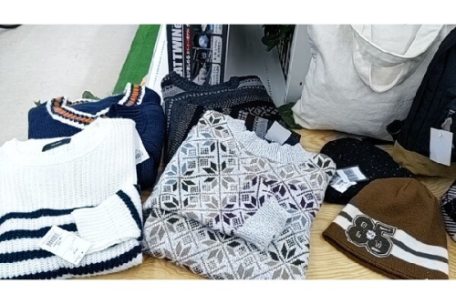 スポーツ用品のザ・ノース・フェイス（The North Face）