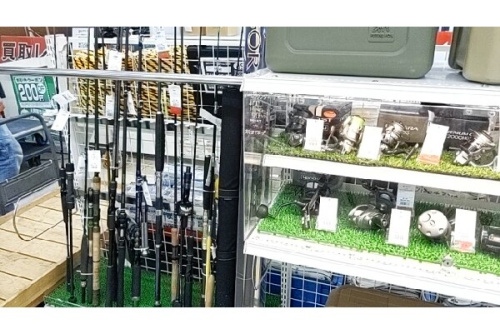 25年02月01日：画像７