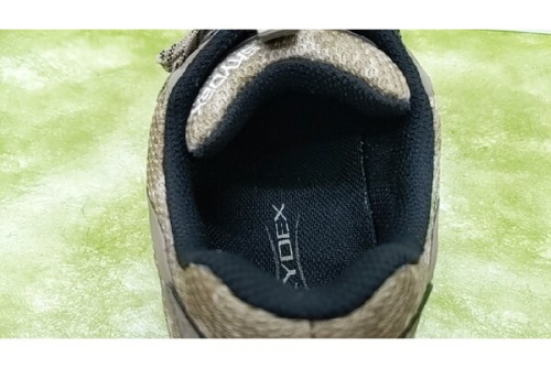 25年02月03日：画像７