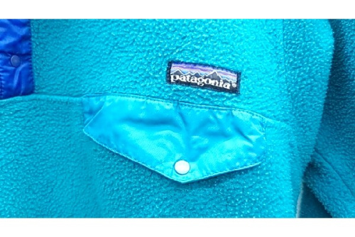 スナップTのPATAGONIA