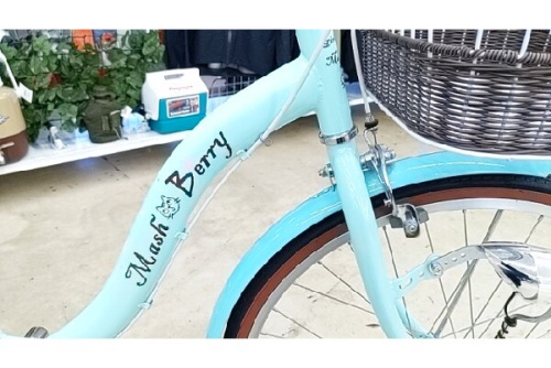 24インチのタマコシ