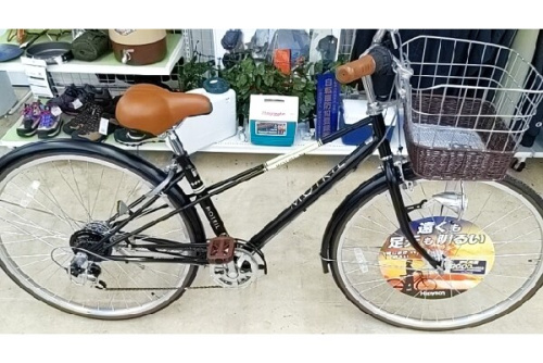 自転車のサイクリング