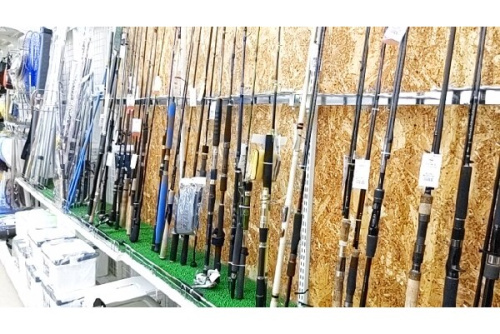 釣りのフィッシング