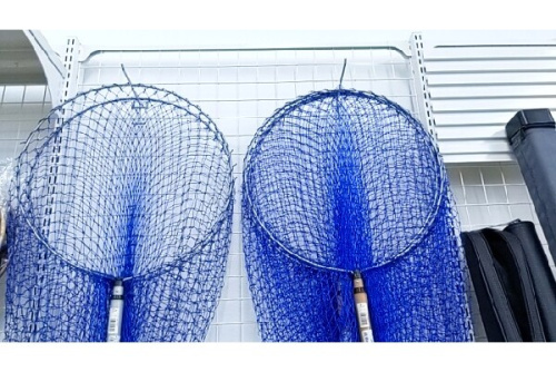 ピックアップブログ画像5