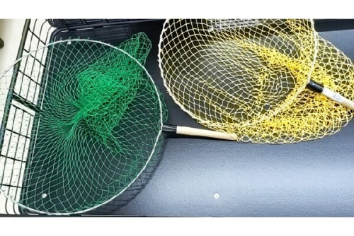 25年04月14日:画像6