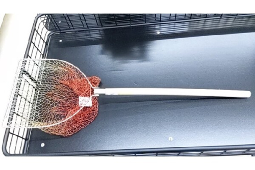 25年04月14日:画像7