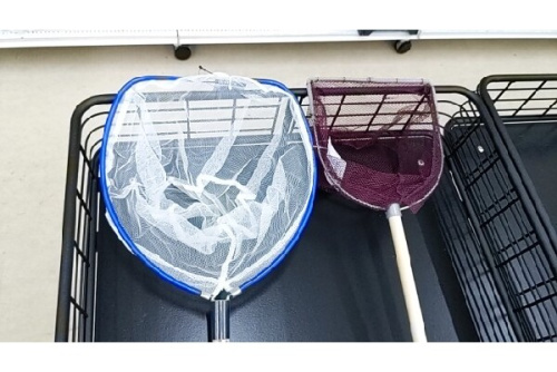 25年04月14日:画像8