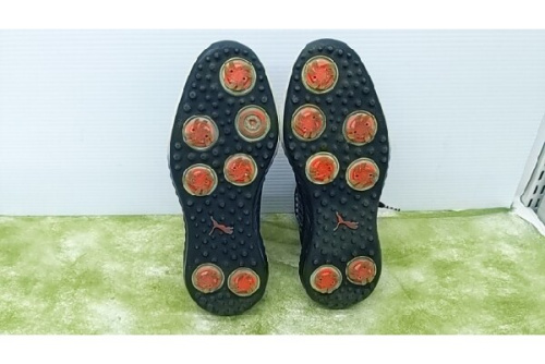 25年04月17日：画像７