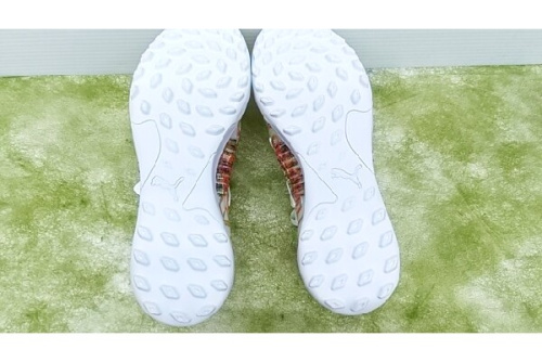 25年04月24日：画像７