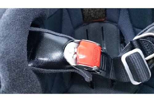 25年05月19日：画像８