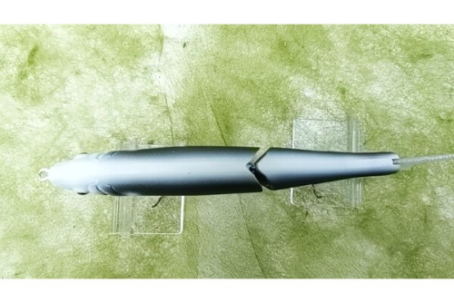 ジョイクロのバス釣り