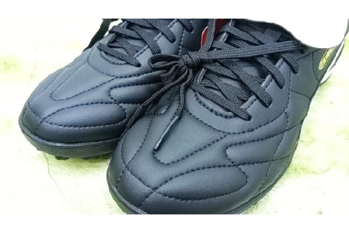 25年06月19日：画像６