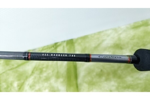 ダイワのキャタリナ