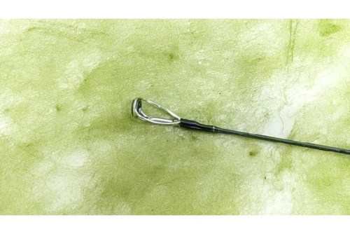 ピックアップブログ画像５