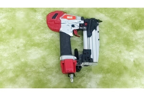 ピンネイラのマックス（MAX）