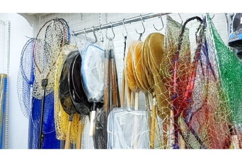 25年08月02日：画像８