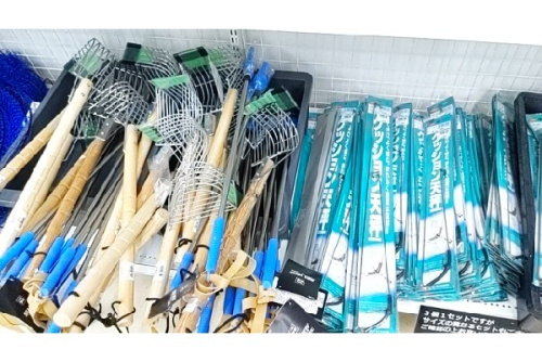 25年08月02日：画像９