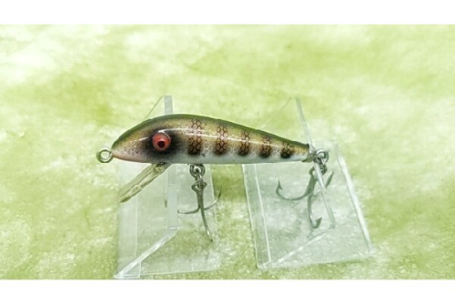 釣りのフィッシング