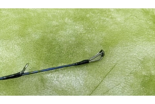 25年10月25日：画像６