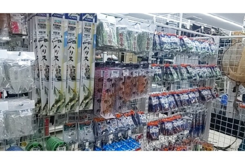 25年10月25日：画像９