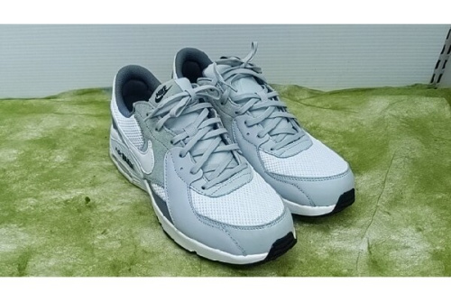 スニーカーのナイキ（NIKE）