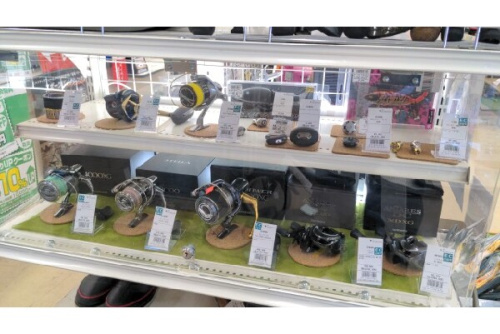 26年01月24日：画像７