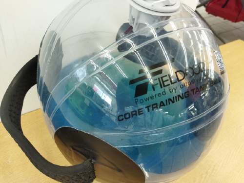 ﾄﾚｰﾆﾝｸﾞﾎﾞｰﾙのFIELDOOR