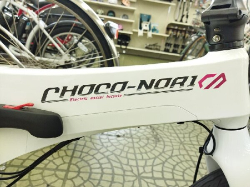 レジャー・スポーツの電動アシスト自転車