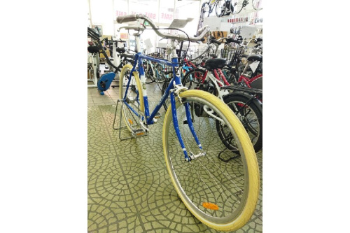 マルヴァンスターのmalvern star