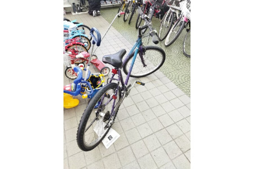 23年01月30日：画像９