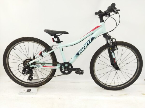 自転車強化店のマウンテンバイク