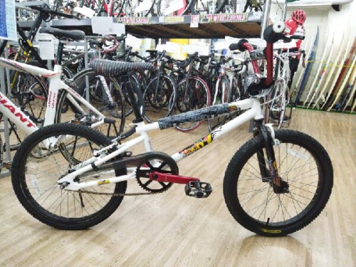 自転車のマウンテンバイク