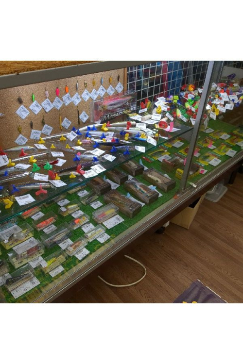 23年08月10日：画像８