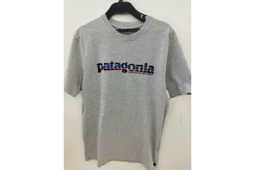 THE NORTH FACE/PatagoniaのアウトドアTシャツ