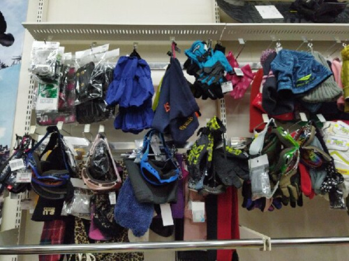 23年09月24日：画像６