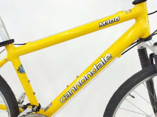 マウンテンバイクのキャノンデール(CANNONDALE)