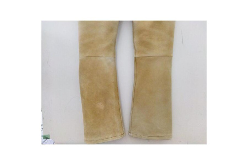 23年11月16日：画像６