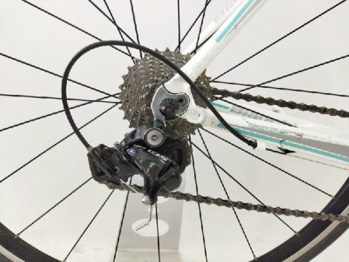 23年11月16日：画像６