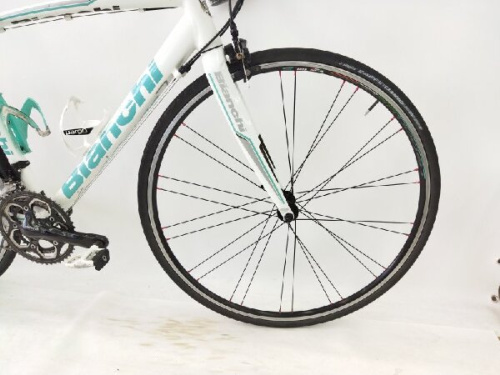 23年11月16日：画像８