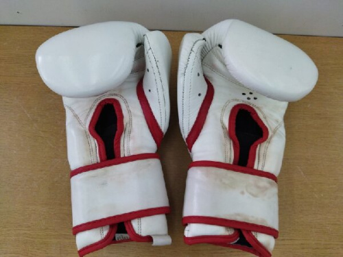 ボクシングのCLEO REYES