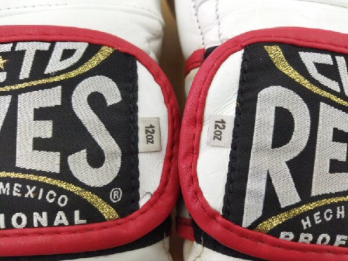 CLEO REYESのクレスト レイジェス