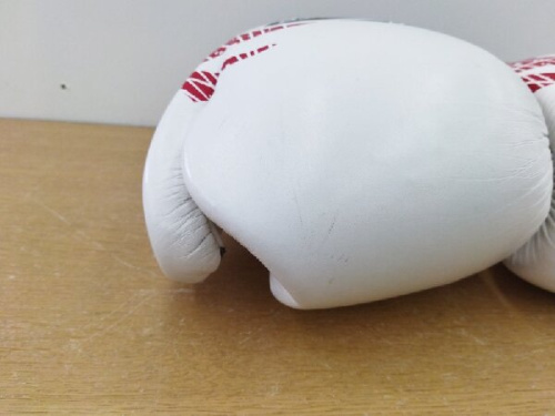 クレスト レイジェスのボクシンググローブ