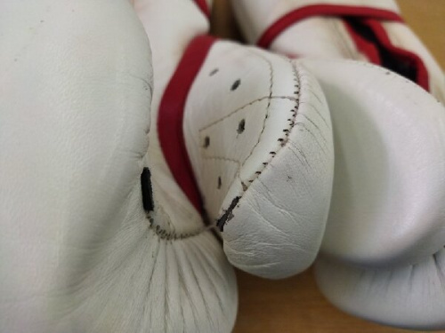 24年01月07日：画像６