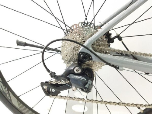 24年01月12日：画像６