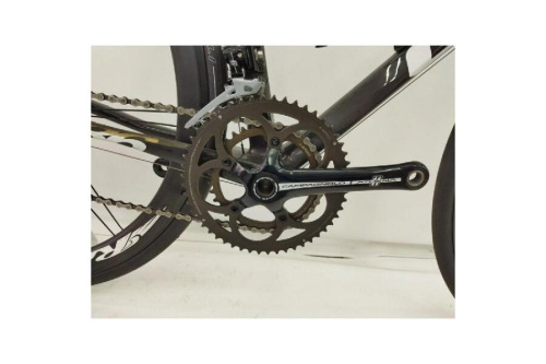 ルックのcampagnol