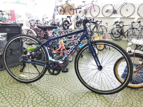 自転車のクロスバイク