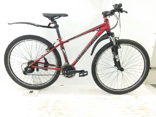 自転車のマウンテンバイク