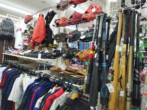 24年11月13日：画像８